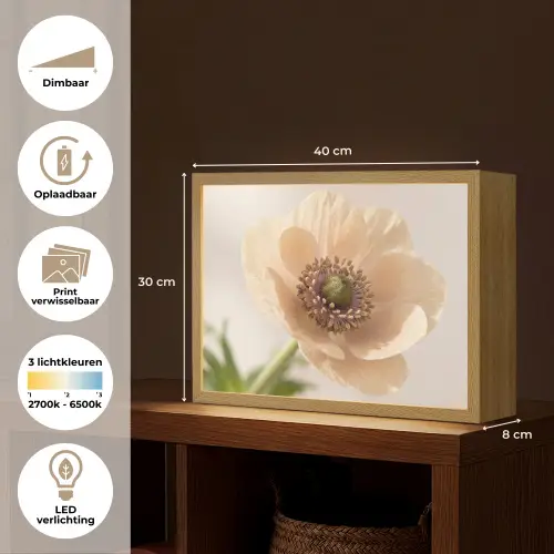 Bloem - Minimalistisch - Groen Light Box met batterij (Wandlamp) middel -USP_websiteoverzichtNL