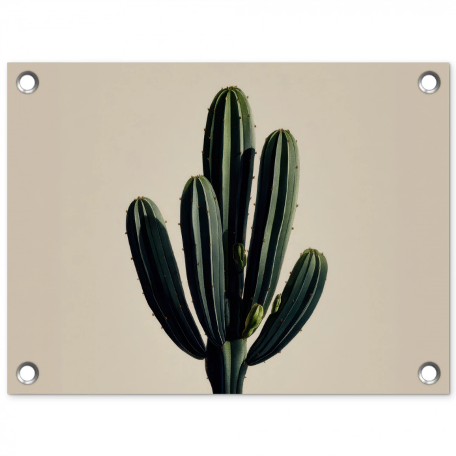 Cactus - Subtiel - Groen tuinposter los doek klein -3d