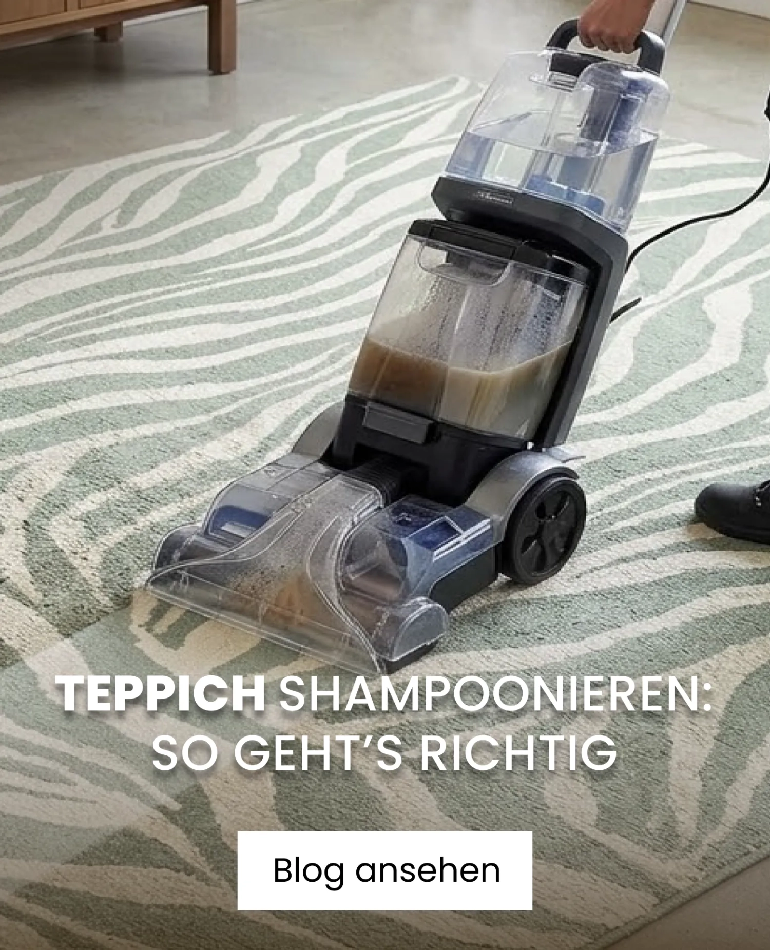 gruner teppich shampoonieren
