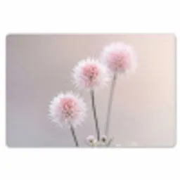 Bloemen - Bollen - Roze Placemat vinyl groot -zzsfeer1_Kitchenyeah-website
