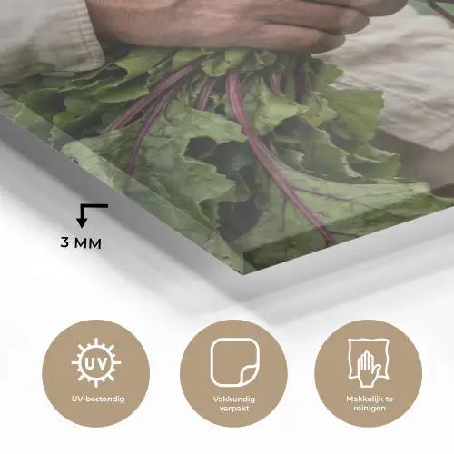 Bieten - Vers - Moestuin plexiglas 5mm klein -sfeer2