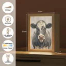 Koe - Portret - Dieren - Modern Light Box met kabel (Kinderlampje) klein -USP_NL