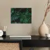 Bladeren - Tropisch - Monstera - Jungle poster papier klein -sfeer1