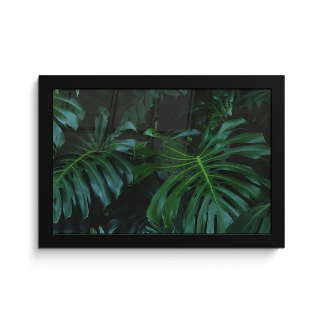 Monstera - Bladeren - Tropisch - Jungle fotolijst zwart zonder passe partout klein -3d