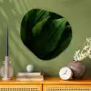 Bladeren - Schaduw - Groen - Textuur Wandcirkel Organisch Plexiglas middel -sfeer2