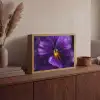 Paars - Viool - Diepte Light Box met batterij (Wandlamp) middel -sfeer2