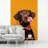 Hond - Oranje - Roos - Valentijn fotobehang vinyl groot -woonkamer