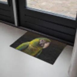Ara - Portret - Groen Deurmat klein -sfeer2