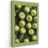 Appels - Groen - bladeren canvas 2cm klein -z3d