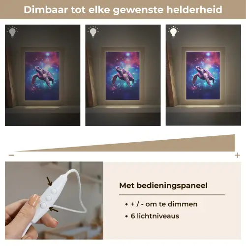 Schildpad - Dier - Galaxy - Ruimte Light Box met kabel klein -USP_dimbaarNL