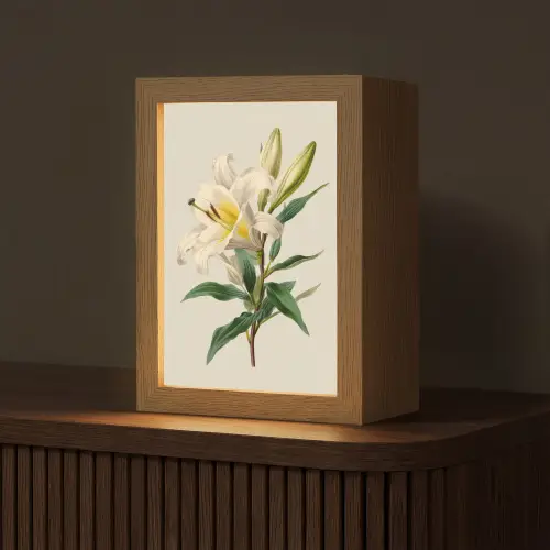 Lelie - Elegant - Botanisch - Beige Light Box met kabel (Tafellamp) klein -z3d_website