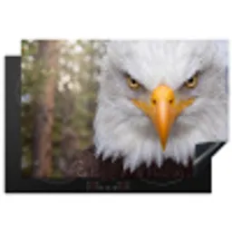 Amerikaans - Zeearend - Portret - Geel Inductie beschermer vinyl 3mm klein -3d