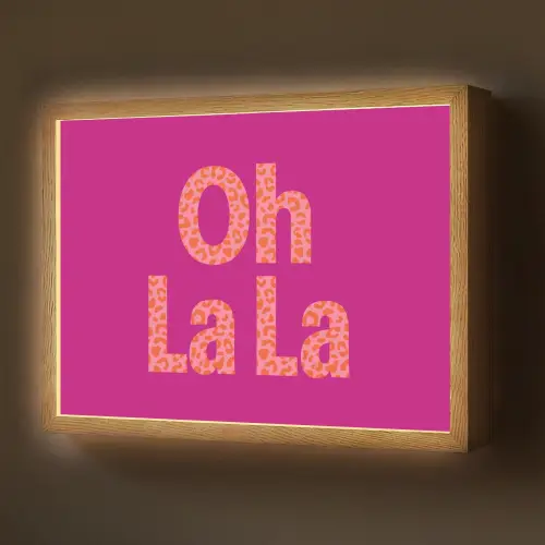 Oh la la - Luipaardprint - Roze Light Box met batterij (Wandlamp) middel -z3d_website