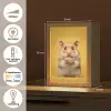 Hamster - Nootje - Geel - Knaagdier Light Box met kabel klein -USP_NL
