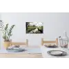 Kat - Beekje - Weide Muursticker klein -eettafel