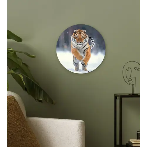 Tijger - Landschap - Sneeuw - Winter - Dieren Wandcirkel kunststof plaat 5mm dik klein -sfeer3