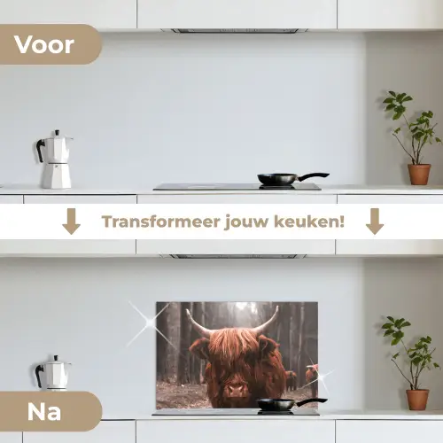 Schotse hooglander - Bos - Koe - Dieren - Natuur keuken achterwand spatscherm klein -voor_na_NL