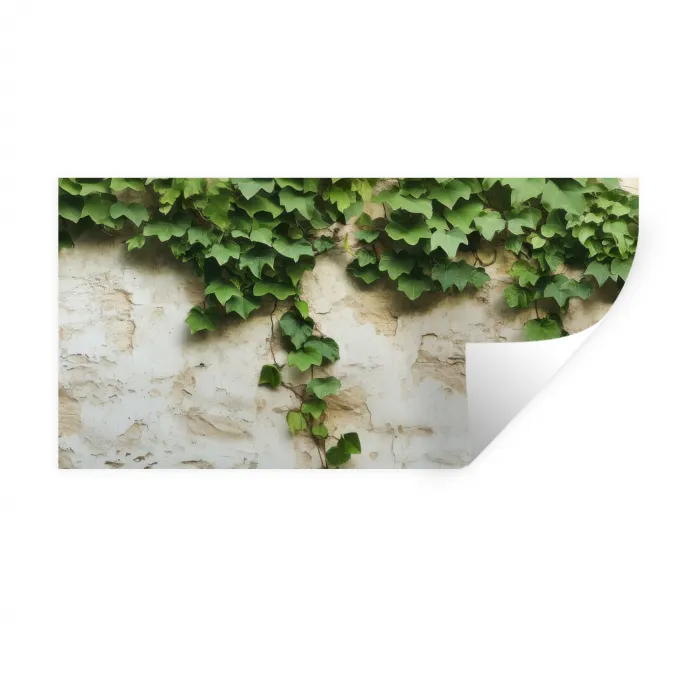 Klimop - Muur - Groen Muursticker klein -3d