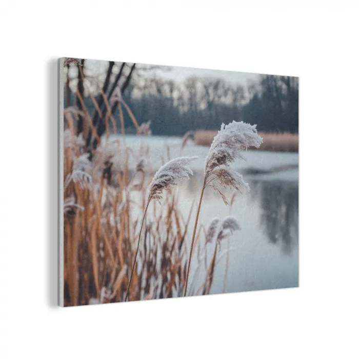 Riet - Gras - Natuur - Winter - Meer PET vilt klein -3d