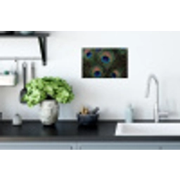 Pauwenveren - Klassiek - Groen Muursticker klein -keuken