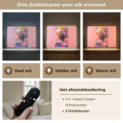 Kleurrijk - Bloemen - Vrouw - Zon Light Box met batterij (Wandlamp) middel -USP_lichtkleurNL