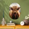 Schotse hooglander - Landschap - Dier Wandcirkel Ovaal Forex klein -sfeer2
