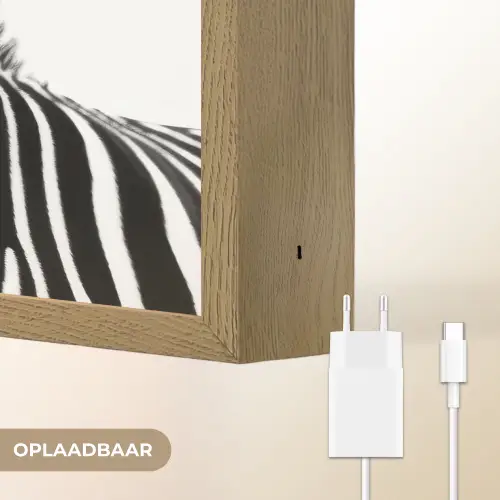 Zebra - Close-up - Zwart - Strepen Light Box met batterij (Wandlamp) middel -USP_websiteoplaadbaarNL