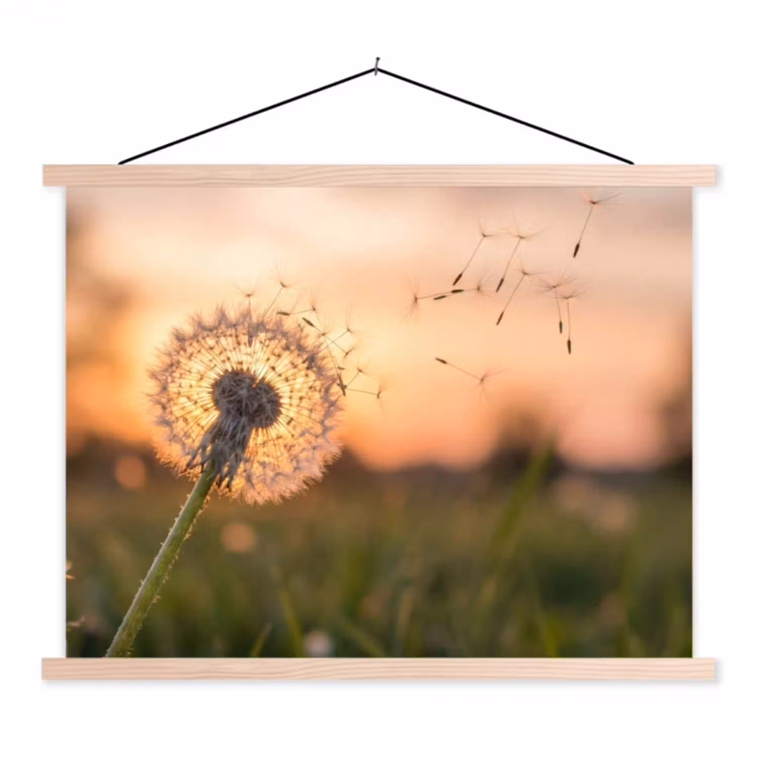 Paardenbloem - Zonsondergang - Veld textielposter latten blank klein -3d