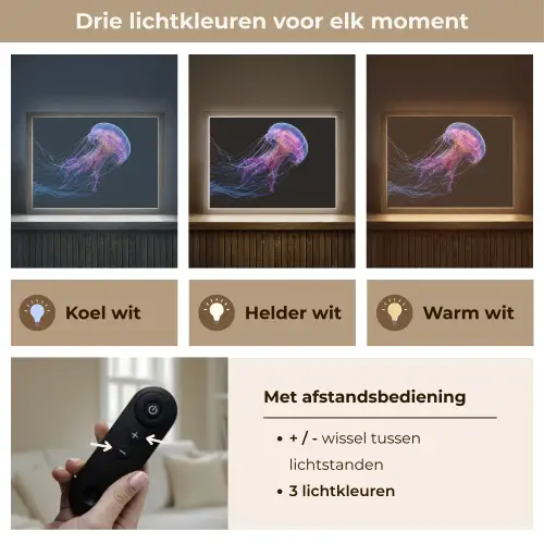 Kwal - Doorzichtig - Roze - Tentakels Light Box met batterij (Wandlamp) middel -USP_lichtkleurNL