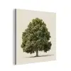 Eikenboom - Groen - Lichte achtergrond aluminium wit klein -3d