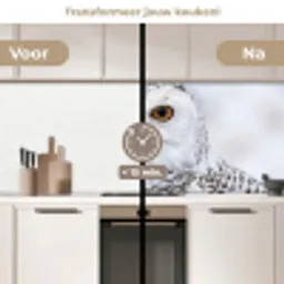 Sneeuwuil - Oog - Wildlife - Wit keuken achterwand 2 middel -voor-na2_NL