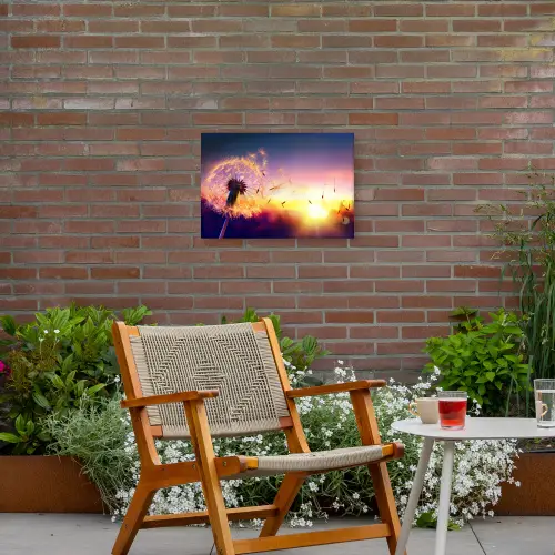 Paardenbloem in de Avondschemering Tuinposter op houten frame 2 cm dik klein -sfeer3