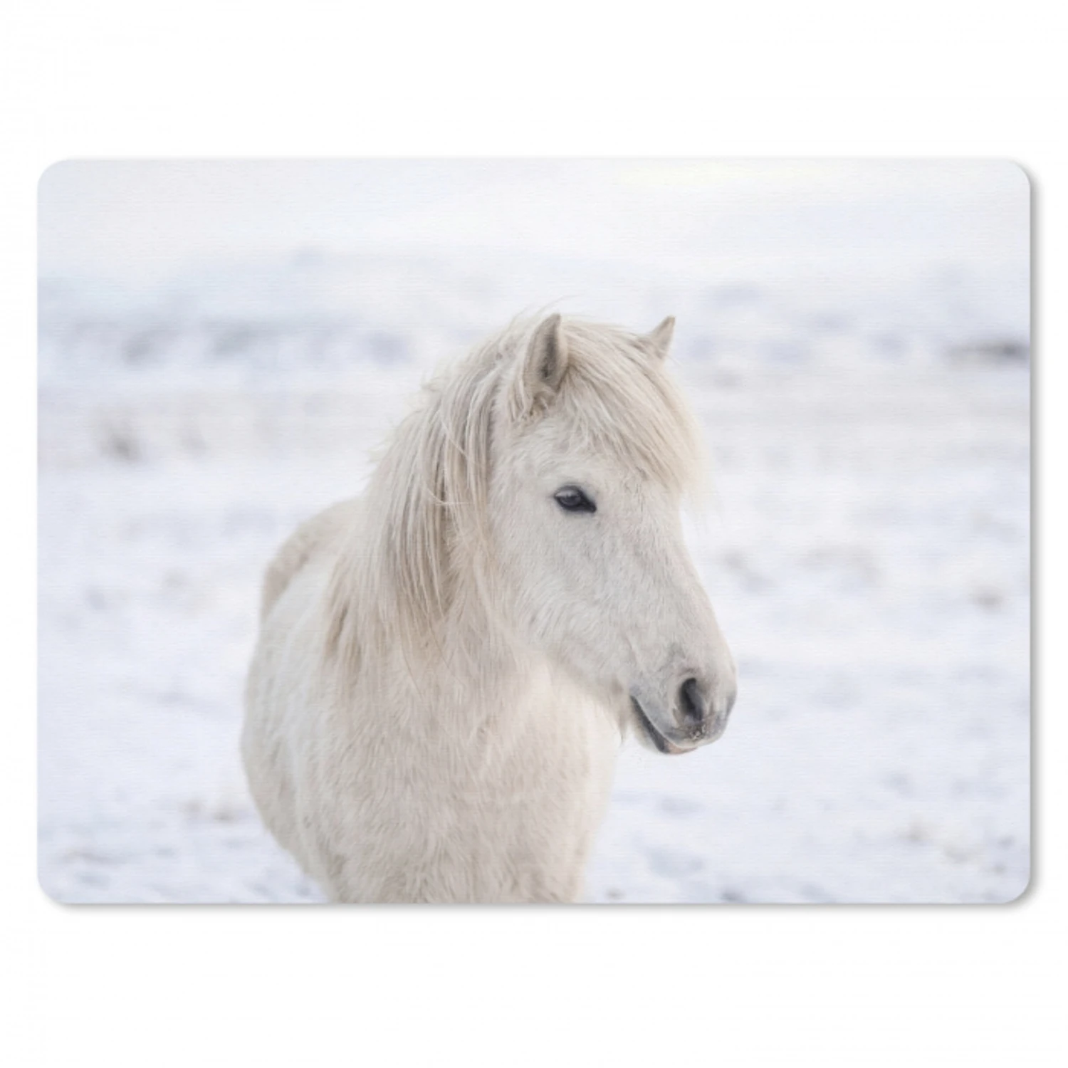 Paard - Kop - Winter - Dieren - Wit muismat rubber klein -3d