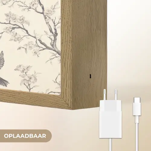 Takken - Vogels - Beige Light Box met batterij (Wandlamp) middel 907 -USP_websiteoplaadbaarNL