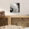 Paardenbloem - Zwart - Wit plexiglas 5mm klein -sfeer4