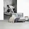 Varken - Schattig - Spaghetti - Zwart wit - Dier fotobehang vinyl groot -slaapkamer
