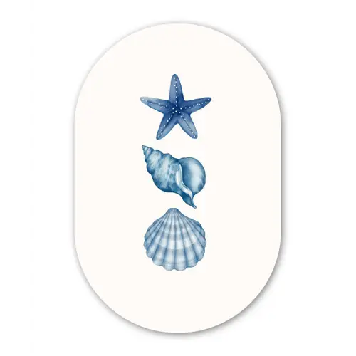 Zeester - Schelpen - Blauw Wandcirkel Ovaal Forex klein -3d