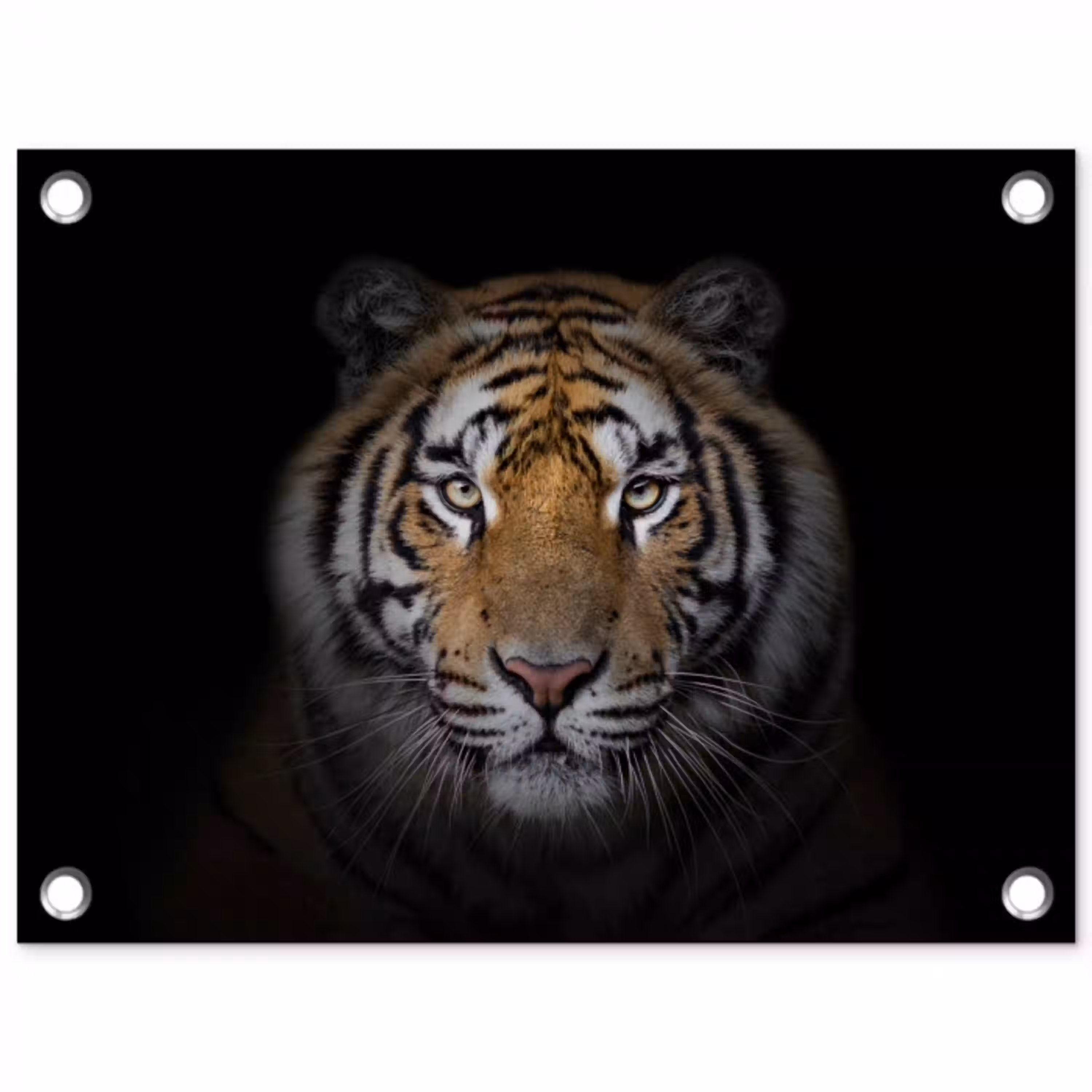 Tijger - Wilde dieren - Portret - Zwart - Dieren tuinposter los doek klein -3d
