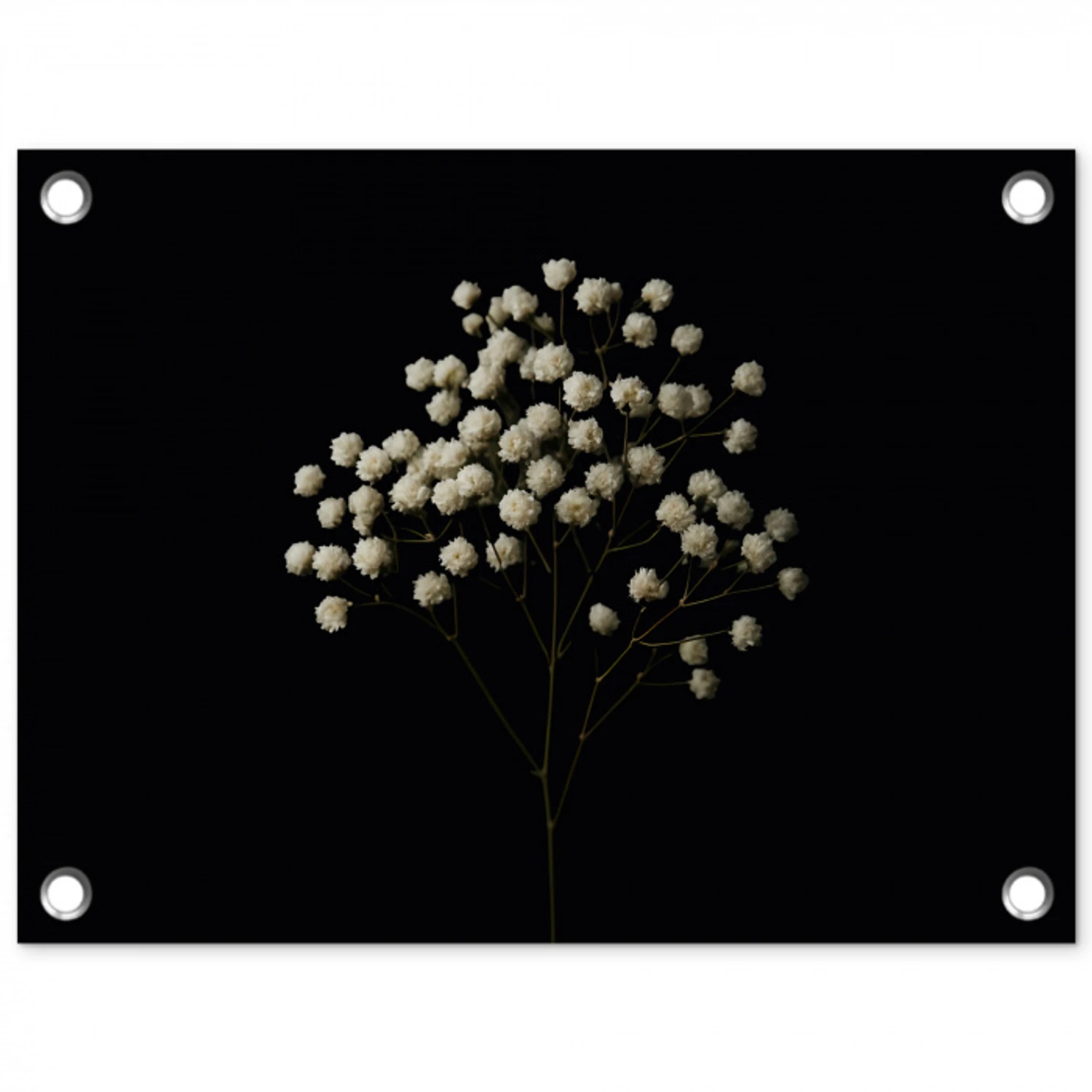 Gipskruid - Bloemetjes - Wit - Minimalistisch tuinposter los doek klein -3d