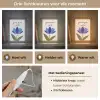 Korenbloem - Valentijn - Bloem - Blauw Light Box met kabel (Wandlamp) klein -USP_lichtkleurNL