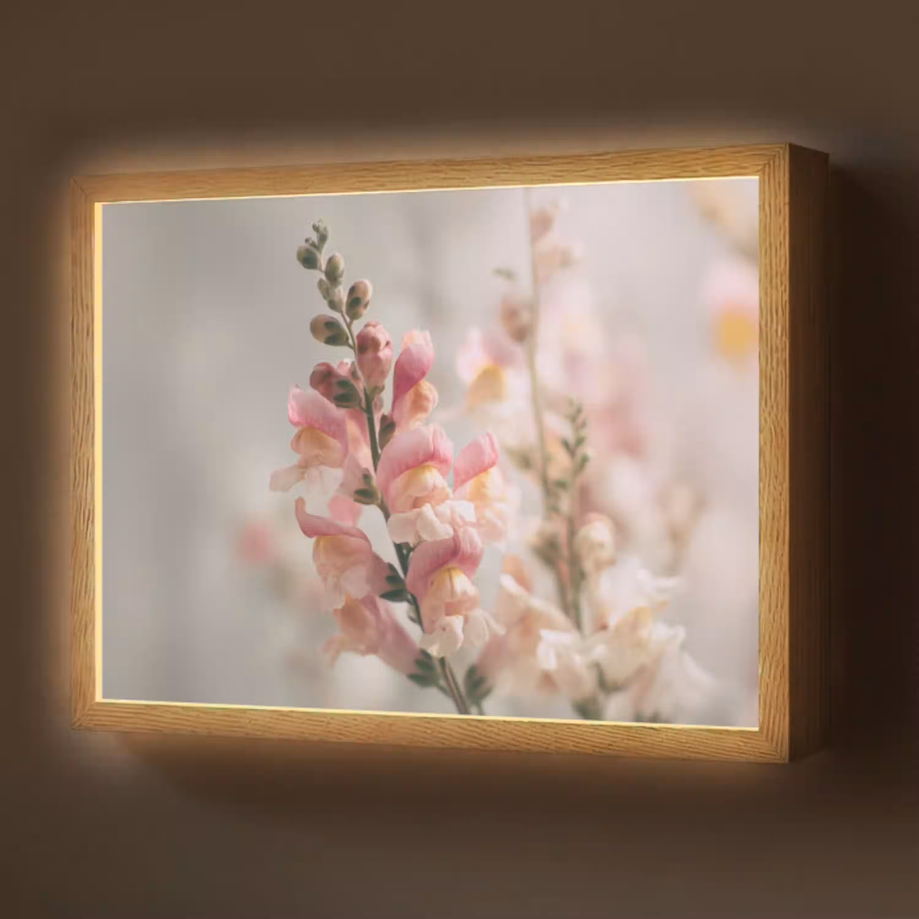 Bloem - Leeuwenbek - Roze - Stengel Light Box met batterij (Wandlamp) middel -z3d_website