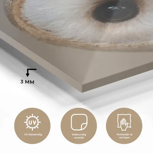 Uil - Bruin - Wit plexiglas 5mm klein -sfeer2