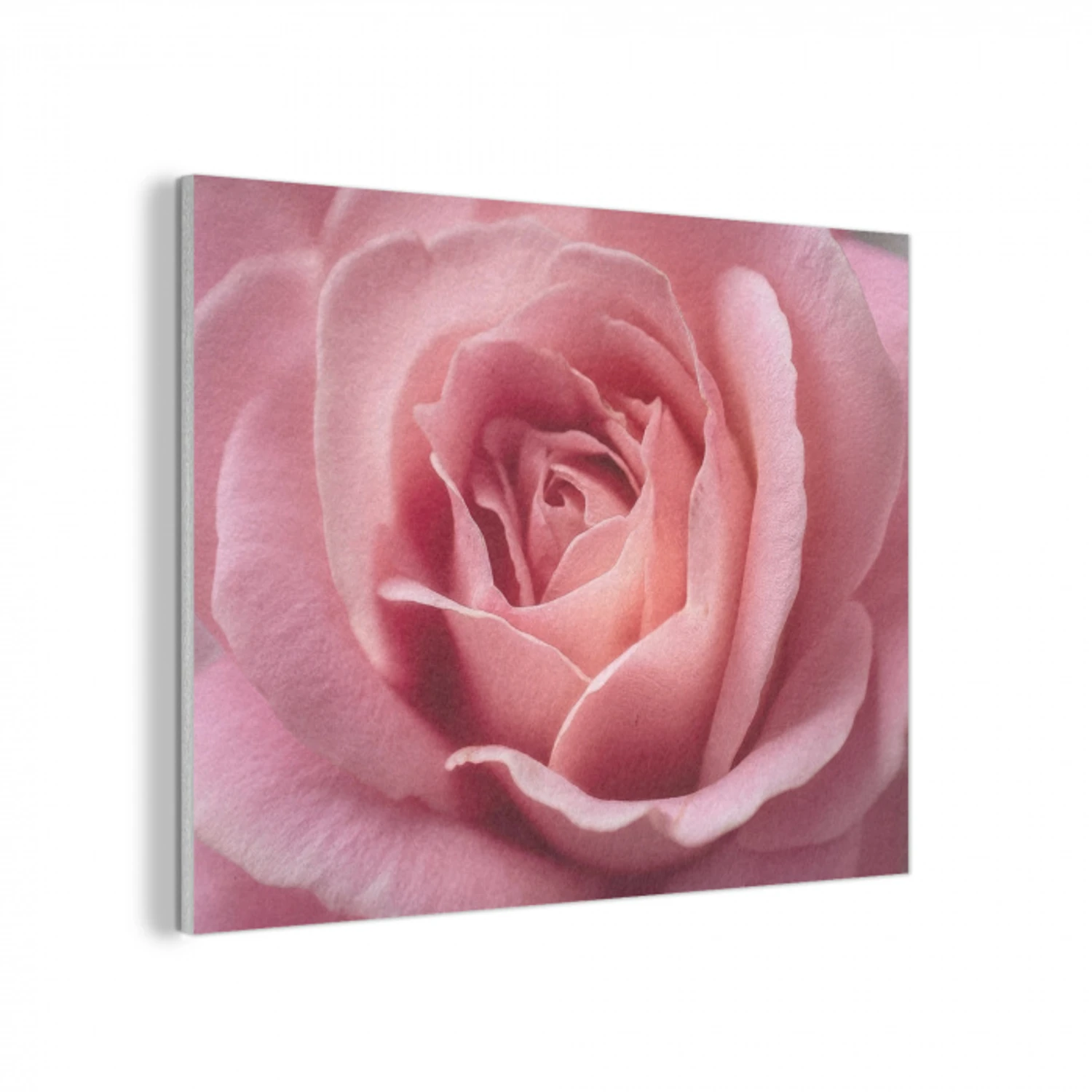 Roze - Roos - Romantisch PET vilt klein -3d