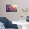 Lavendelbloemen - Paars - Zonlicht poster papier klein -sfeer3
