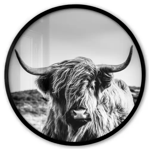 Koe - Schotse hooglander - Zwart - Wit - Dier - Natuur - Wild Fotolijst rond zonder passe partout klein -3d