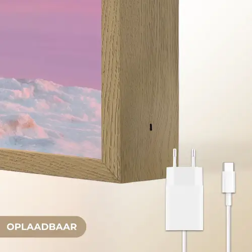 Poolvos - Sneeuw - Roze Light Box met batterij (Wandlamp) middel -USP_websiteoplaadbaarNL