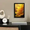 Zonnebloem - Dauwdruppels - Geel - Zonlicht fotolijst zwart zonder passe partout klein -sfeer1