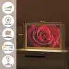 Rood - Roos - Romantisch Light Box met kabel (Tafellamp) klein -USP_websiteoverzichtNL
