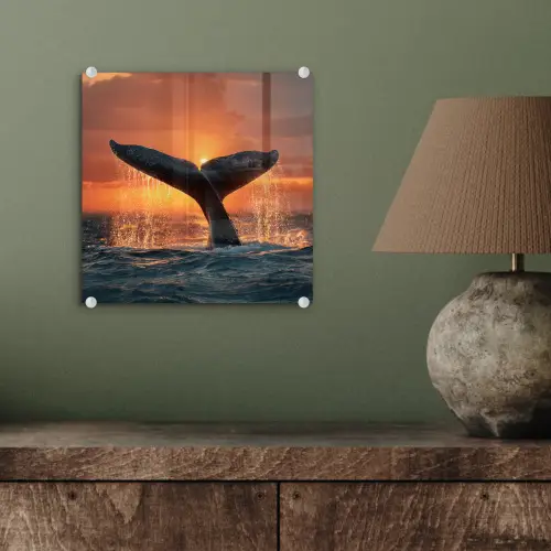 Walvis staart - Water - Zonsondergang plexiglas 5mm klein -sfeer3