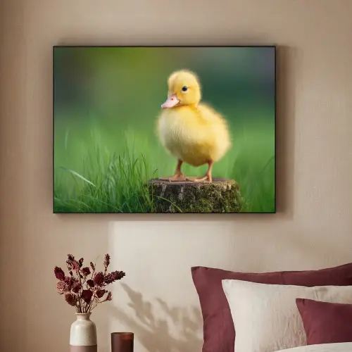 Kuiken - Eend - Geel - Gras Textielframe zwart klein -sfeer1
